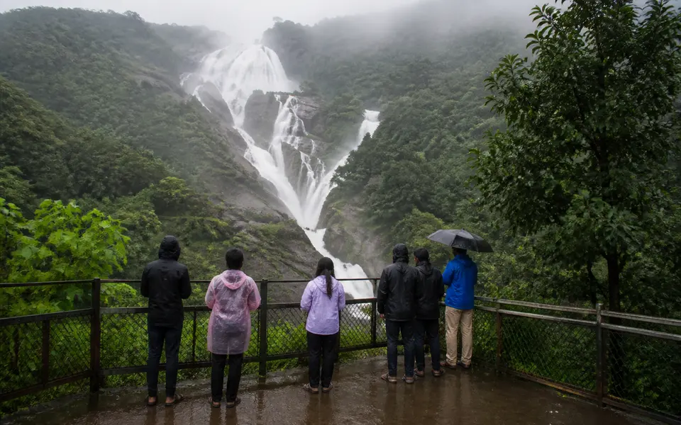 Monsoon waterfall in lush green forest near Goa with visitors standing at a safe viewpoint.