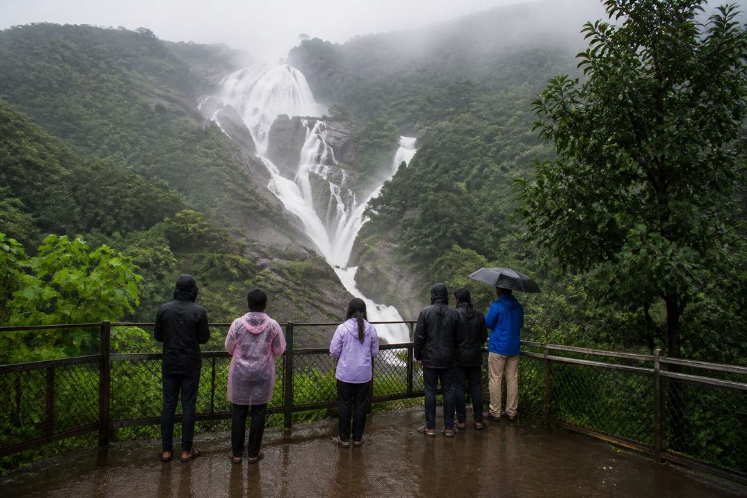 Monsoon waterfall in lush green forest near Goa with visitors standing at a safe viewpoint.