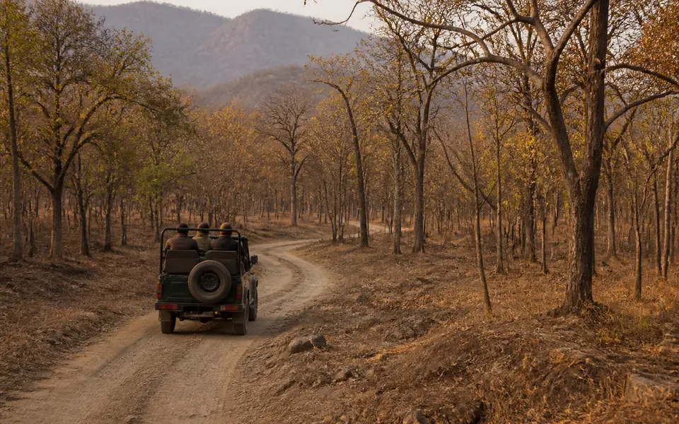 Open safari jeep driving along a dirt track through dry forest in North India with low hills in the distance.