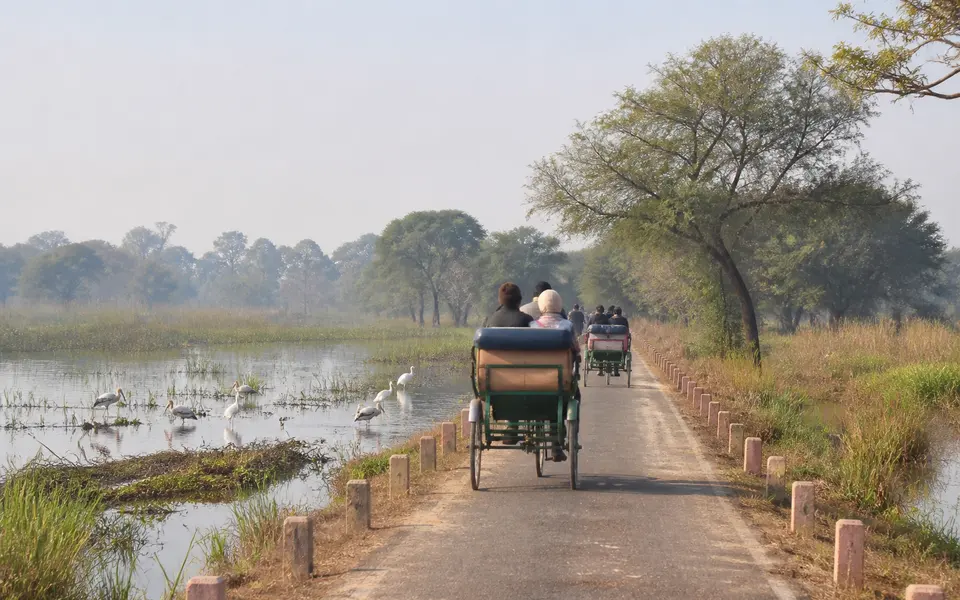 Wetland track at Keoladeo National Park near Bharatpur with water birds, trees and visitors riding in cycle-rickshaws.