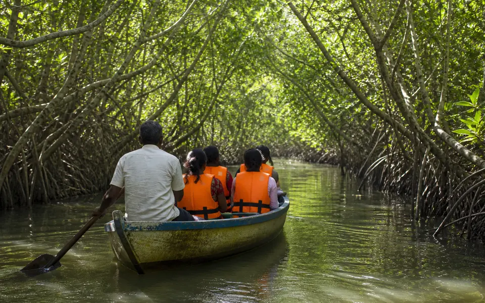 Small rowboat with visitors in life jackets moving through narrow green mangrove channels at Pichavaram near Chidambaram
