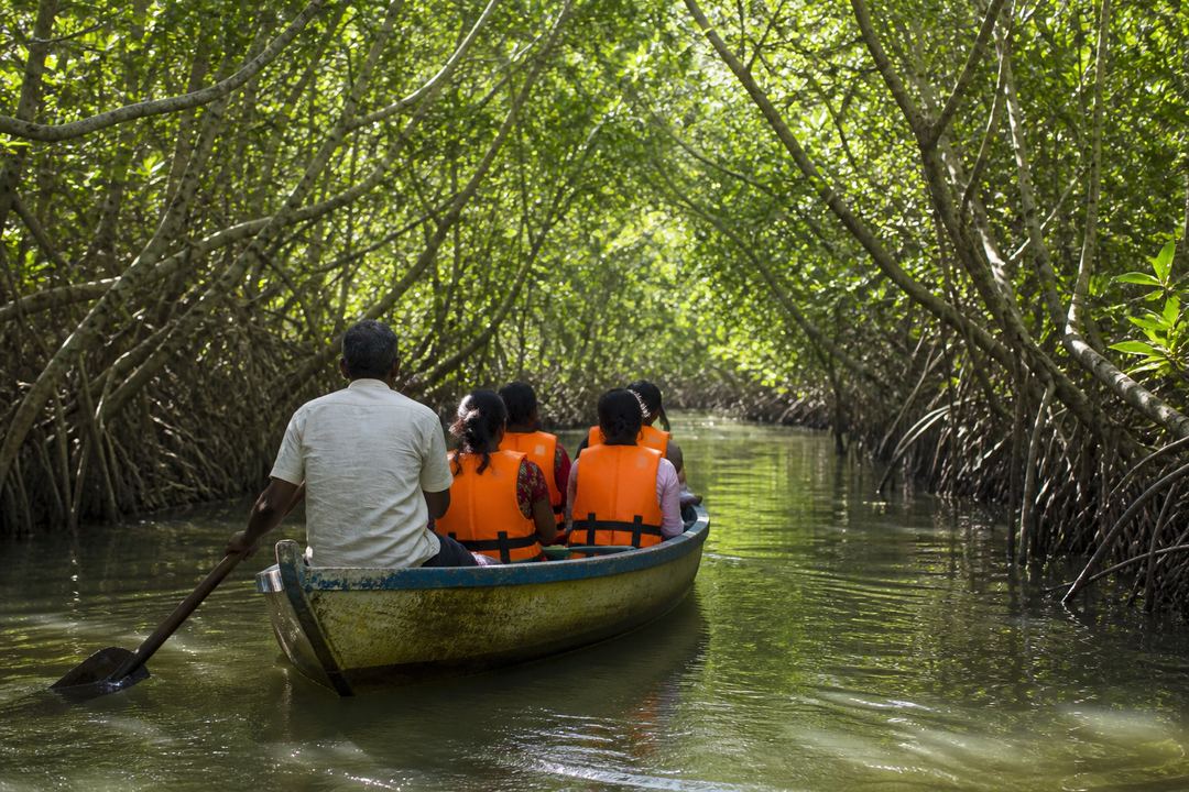 Small rowboat with visitors in life jackets moving through narrow green mangrove channels at Pichavaram near Chidambaram