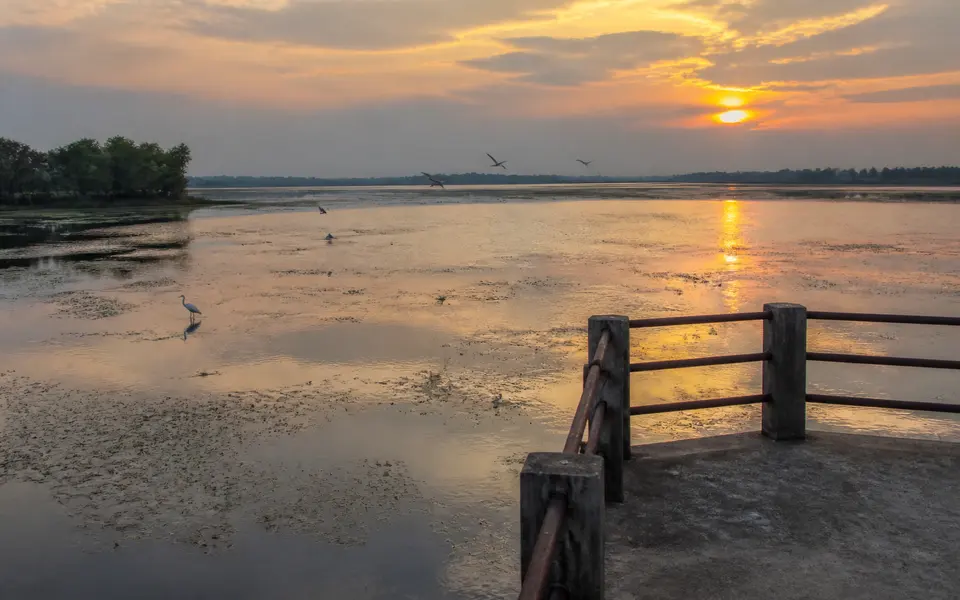 Calm Ousteri Lake near Pondicherry at sunset with birds on the water and a simple viewing platform