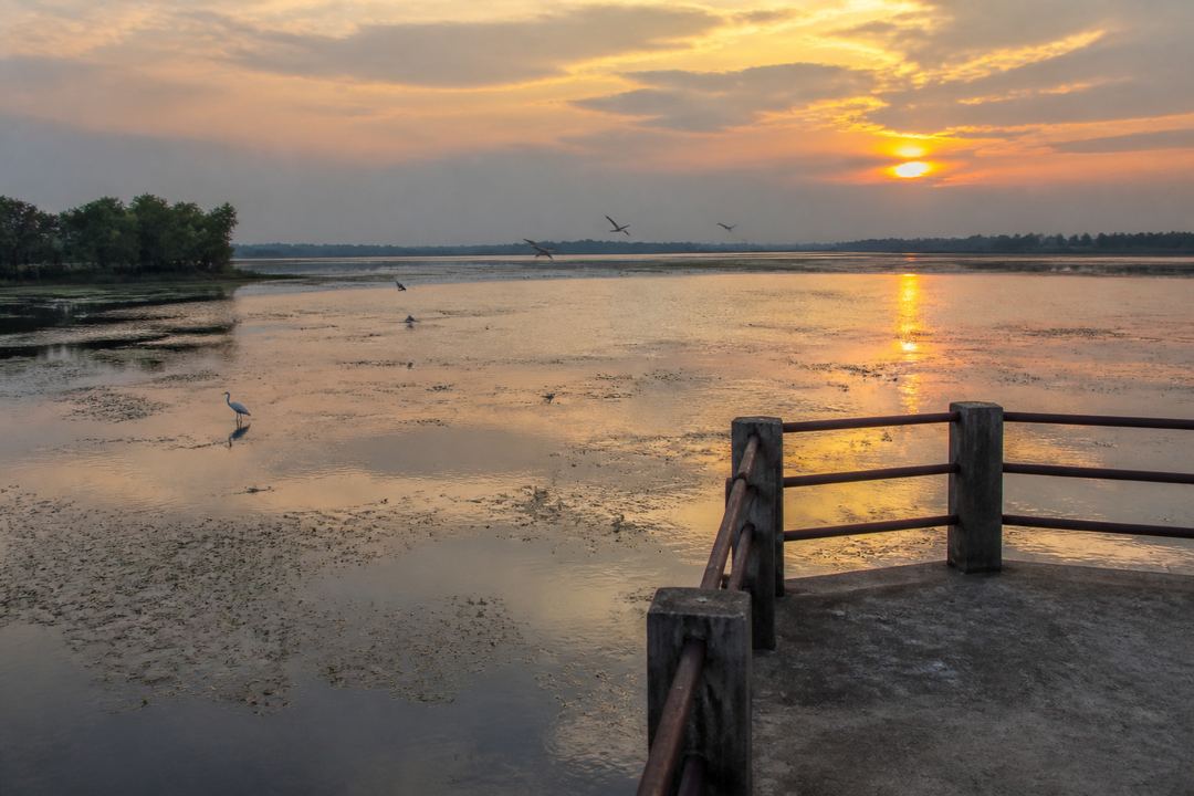 Calm Ousteri Lake near Pondicherry at sunset with birds on the water and a simple viewing platform