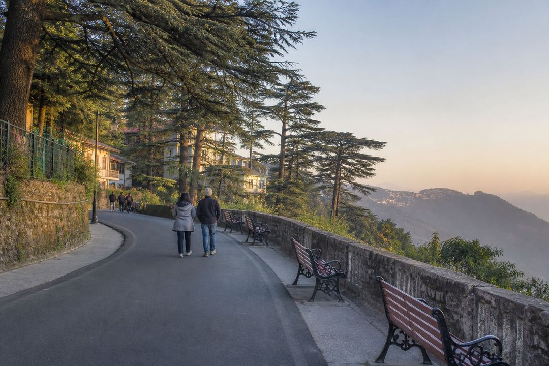 A gently curving hill road in Mussoorie with people walking, benches along the edge and pine trees on one side.