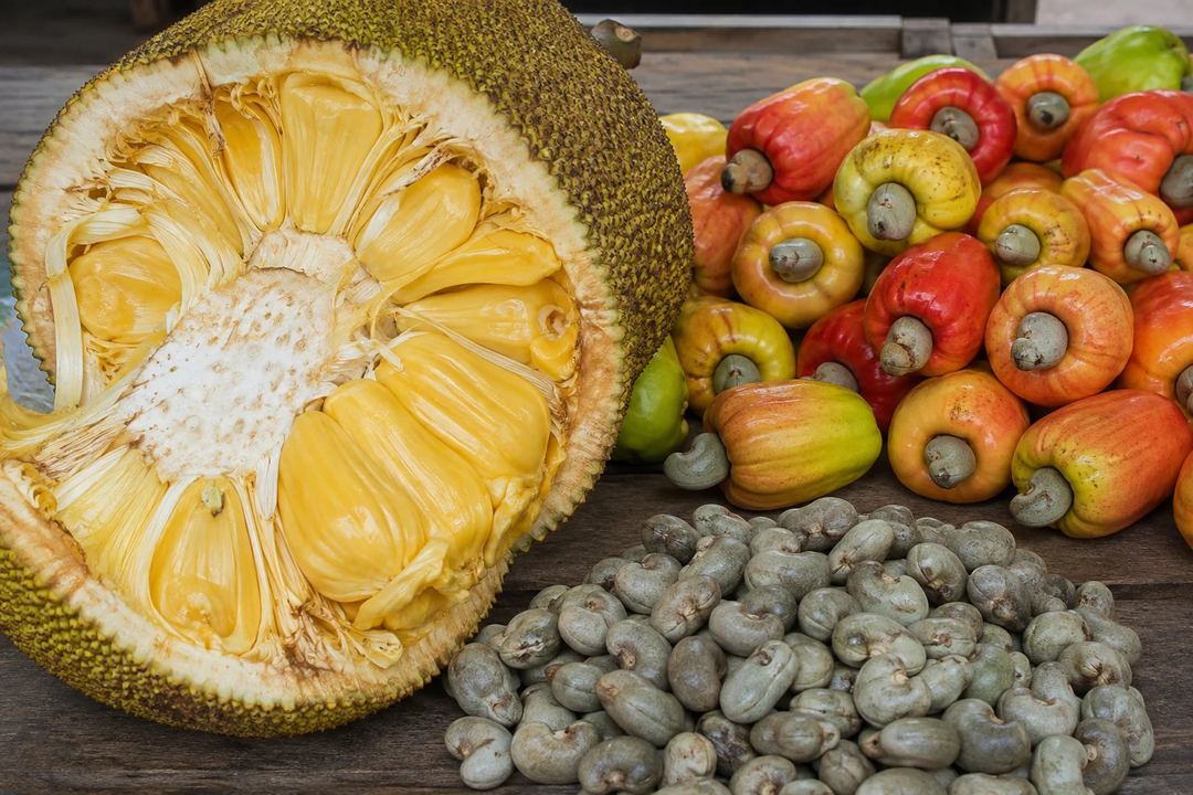 A cut ripe jackfruit with golden bulbs beside cashew apples and raw cashew nuts