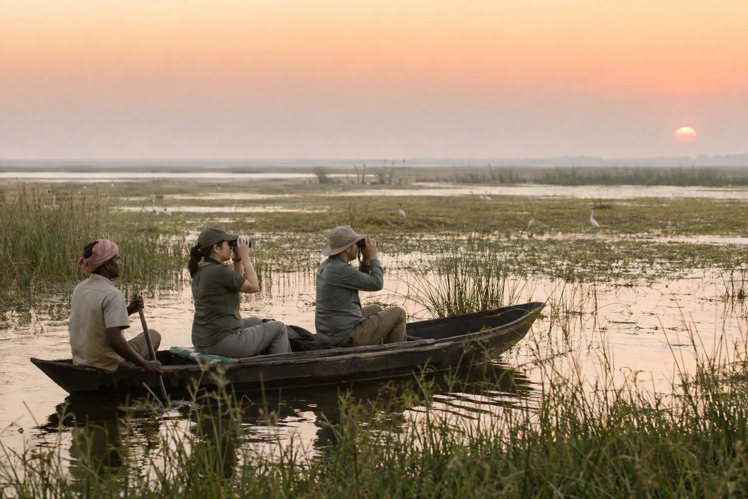 A local boat guide accompanies two travellers observing distant birds quietly in an Indian wetland.