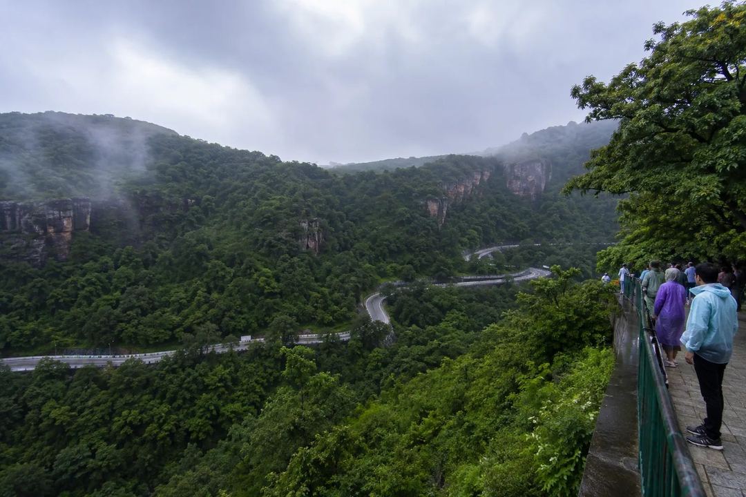 Forested Tirumala hills after monsoon with a winding road and a distant viewpoint