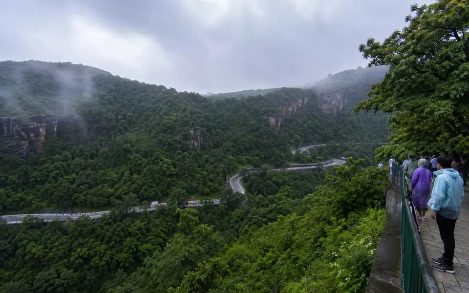 Forested Tirumala hills after monsoon with a winding road and a distant viewpoint