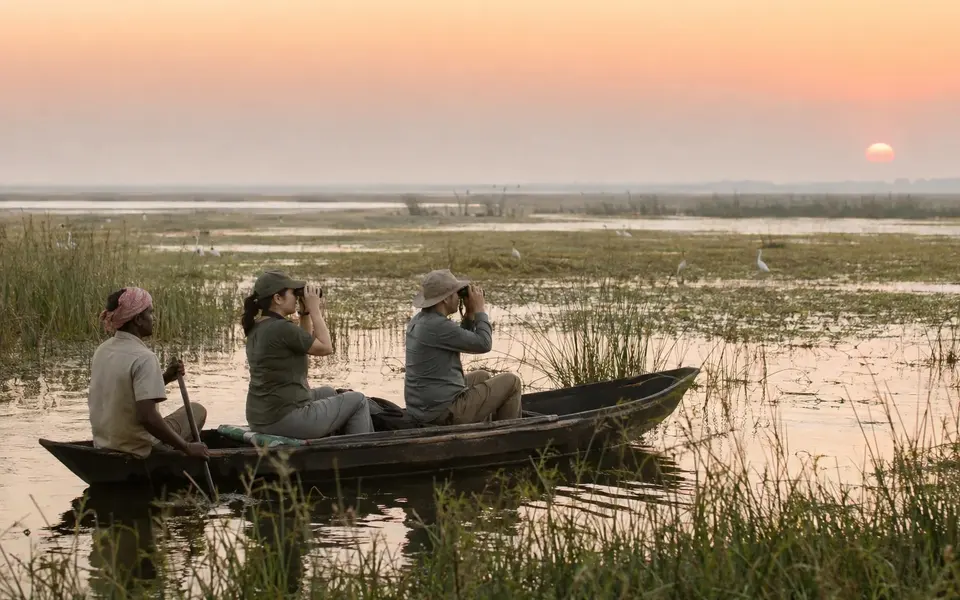 A local boat guide accompanies two travellers observing distant birds quietly in an Indian wetland.