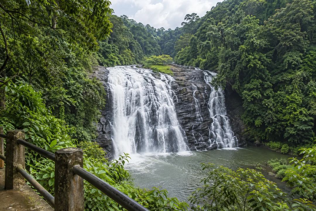 Illustration of Abbey Falls surrounded by dense green vegetation.