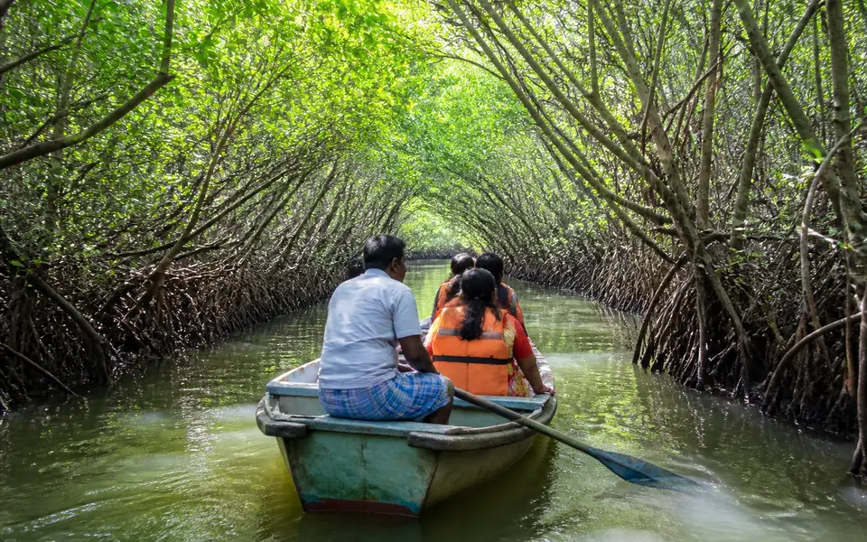 Rowboat carrying visitors through a narrow green tunnel of mangrove trees at Pichavaram near Chidambaram.
