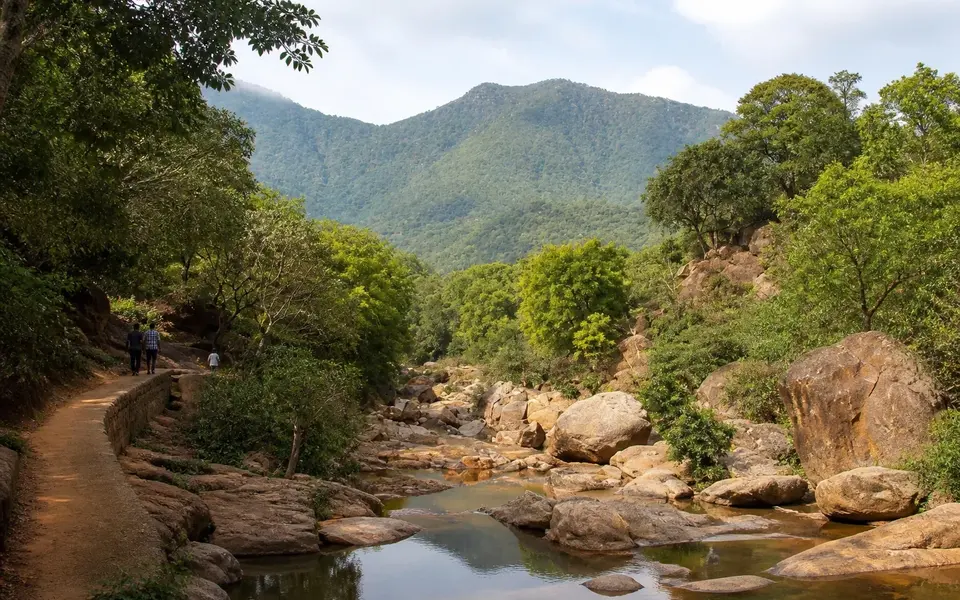 Reference-led landscape illustration of a rocky seasonal stream, forest walking path and green foothills around Amirthi near Vellore.