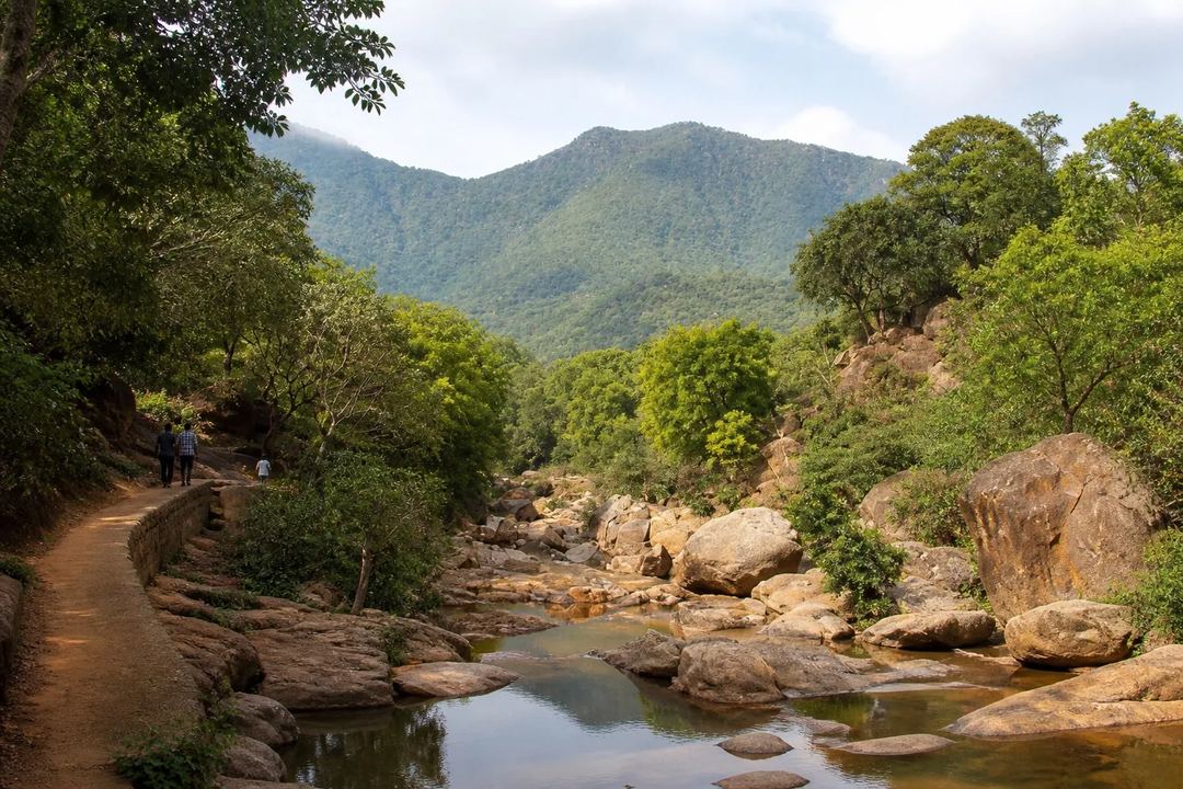 Reference-led landscape illustration of a rocky seasonal stream, forest walking path and green foothills around Amirthi near Vellore.