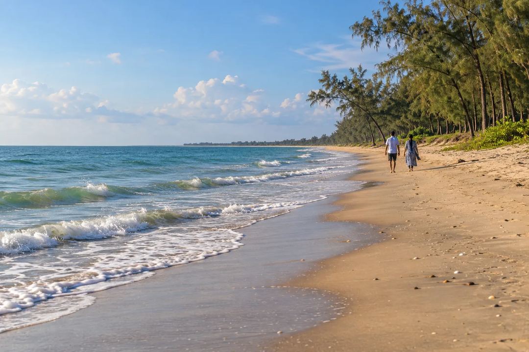 Illustration of people walking along a palm-lined beach inspired by the Marakkanam coast.